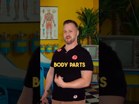 3 Body Parts That English Does Not Name