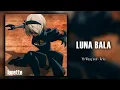 Download Lagu Phonk/Funk Edit Audios You Need for Next-Level Edits🔥 (Thanks for 38K Subs!❤️)