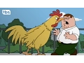 Family Guy The First Chicken Fight Clip TBS