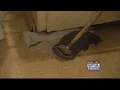 Starkville residents fed up with living conditions