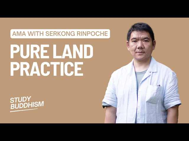 Pure Land Practice in Everyday Life | AMA with Serkong Rinpoche