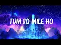 Lagu Vishal Mishra - Tum Jo Mile Ho (Lyrics)