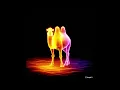 3D Hologram Magic: Animals & Objects Come to Life Before Your Eyes!#3dhologram #3dvisuals