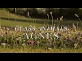 Glass Animals - Agnes [LYRICS]