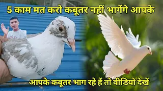 hamare kabutar kyon bhag jaate he 5 kam mat karo nahi bhagenge