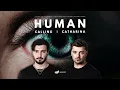 Human / Calling (Lose My Mind) / Catharina (Surf Mesa Remix) [MASHUP] - David Guetta, Third ≡ Party