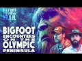 Download Lagu Bigfoot Encounters on the Olympic Peninsula: Bigfoot Beyond the Trail