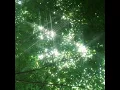 ♬ 박찬영 : [볕뉘] 작은 틈을 통하여 잠시 비치는 햇볕 ✶ 𝐩𝐥𝐚𝐲𝐥𝐢𝐬𝐭