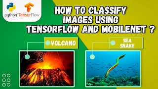 Transfer Learning for Image Classification using Tensorflow Multi Class Classification Models