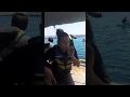 Download Lagu Story wa naik perahu pantai