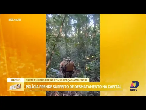 Polícia prende suspeito de desmatamento em unidade de conservação de Florianópolis
