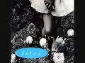 Lilys - Threw A Day