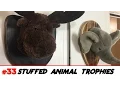Stuffed Animal Head Trophies