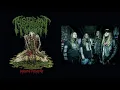 Download Lagu PUSTULANT FLESH - Gurgling Pustulence (Full Album 2025)