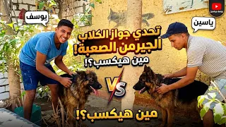 أقوى تحدي علي جواز الكلاب 🔥 الموقف محرج ويوسف محتار 😕 