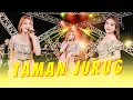 Download Lagu Shinta Arsinta - Cah Cah Cah Cah Cahyaning Bulan - TAMAN JURUG - Goyang Esek Esek