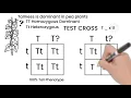 Genetic Cross Test Cross Short Simple Science