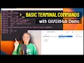 Useful Terminal Commands
