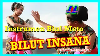 instrumen biul meto bilut insana insana malila baek 