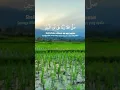 Download Lagu ZIKIR | Sholawat Mubin...