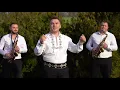 Download Lagu Fane Banateanu - Iara beau in asta seara - Colaj muzica de petrecere