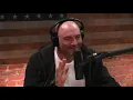 Mike Tyson on Joe Rogan - I took the punches so my kids didn t have to