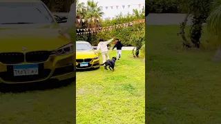 لما صاحبك يكون عنده كلب القيصر  لما صاحبك يكون عنده كلب القيصر