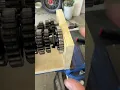 Diagnosing a Tranny Issue