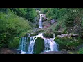 Moody Giessbach waterfall view at morning, splashing on rocks inside lush green forest in Brienz