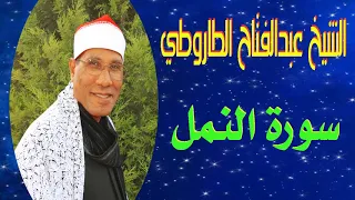 الشيخ عبدالفتاح الطاروطي ماتيسر سورة النمل  الشيخ عبدالفتاح الطاروطي ماتيسر سورة النمل