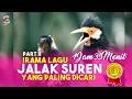 Download Lagu AUDIO JALAK SUREN PART II : IRAMA LAGU PALING DICARI UNTUK MASTERAN BURUNG JUARA
