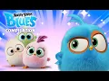 Download Lagu Angry Birds Blues | Ep. 21 to 25