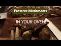 How to Dehydrate Mushrooms in your Oven Boletus Porcini and Neoboletus species