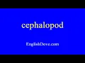 How to pronounce cephalopod in American English