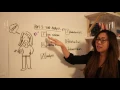 English Language Arts ELA Regents - Part 3 Text Analysis Structure TEA-IDEA