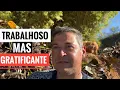 Download Lagu TERMINAMOS DE LIMPAR O LAGO DO SÍTIO. NÃO FOI FÁCIL.