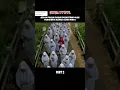 Download Lagu Sita tidak percaya adanya siksa kubur #horror #film #shorts #alurceritafilm