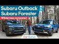 2026 Subaru Wilderness Comparison Subaru Forester Wilderness vs Subaru Outback Wilderness