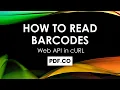 How to Read Barcodes with PDF co Web API in cURL