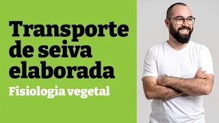 Transporte de seiva elaborada [ENTENDA!] | Fisiologia vegetal - Aula 26 - Botânica | Prof. Gui