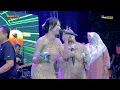 Lagu SINGKONG KEJU - Cantika Nuswantoro Adella - Bekasi ( Official Musik Live )