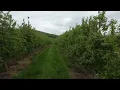 7News Drone over Catoctin Mountain Orchard in Thurmont Maryland
