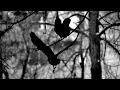 Winterfylleth - The Swart Raven