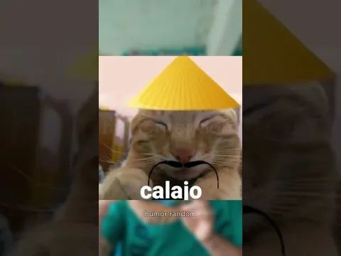 no es de mi talla #chanclas #arte #humor #clips #comentarios