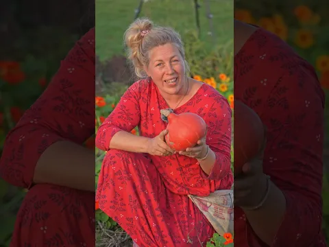 Kürbis lagern: So hält er bis ins Frühjahr 🎃