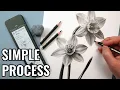 How to Draw Flowers with Graphite Pencils Beginner Process
