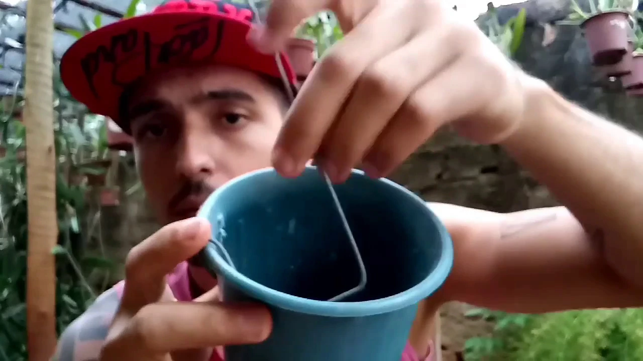 COMO FIXAR A ORQUÍDEA NO VASO