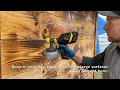 Wagner Control Stainer 150 Full Review - Oil-Based Exterior Polyurethane Sauna Build