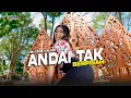 Download Lagu DJ ANDAI TAK BERPISAH - DJ INTAN NOVELA | DJ MINANG TERBARU 2024 ICLIK NULUP FULL BASS