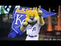 Kansas City Royals 2015 Highlights